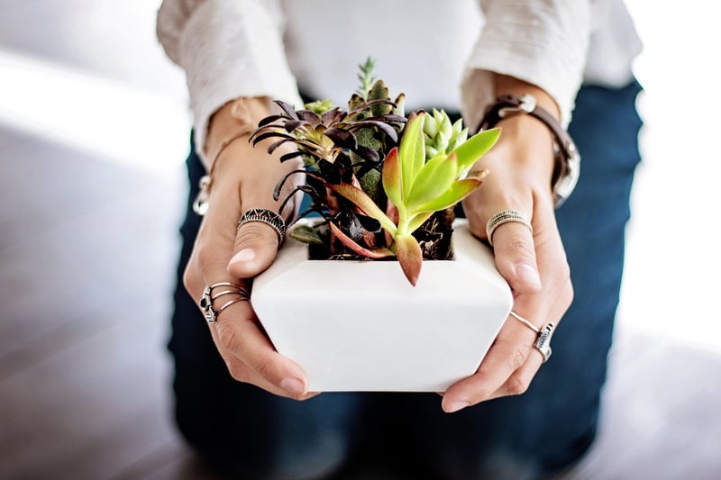 Hanging planters